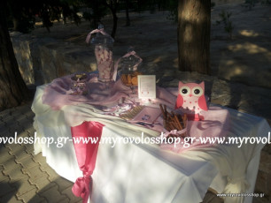 Τραπέζι Βιβλίου Ευχών με Κεράσματα και Γλυκά - Candy Bar, οργάνωση και διακόσμηση βάπτισης ΜΥΡΟΒΟΛΟΣ, θέμα κουκουβάγια δεξίωση στο ΙΔΡΥΜΑ Θεοτόκος