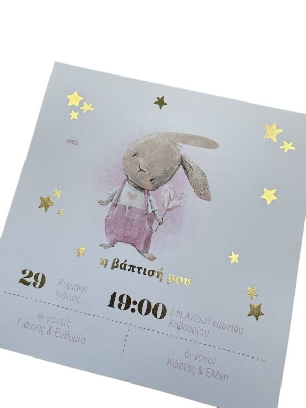 Προσκλητήριο Βάπτισης lovely rabbit Myr-3992